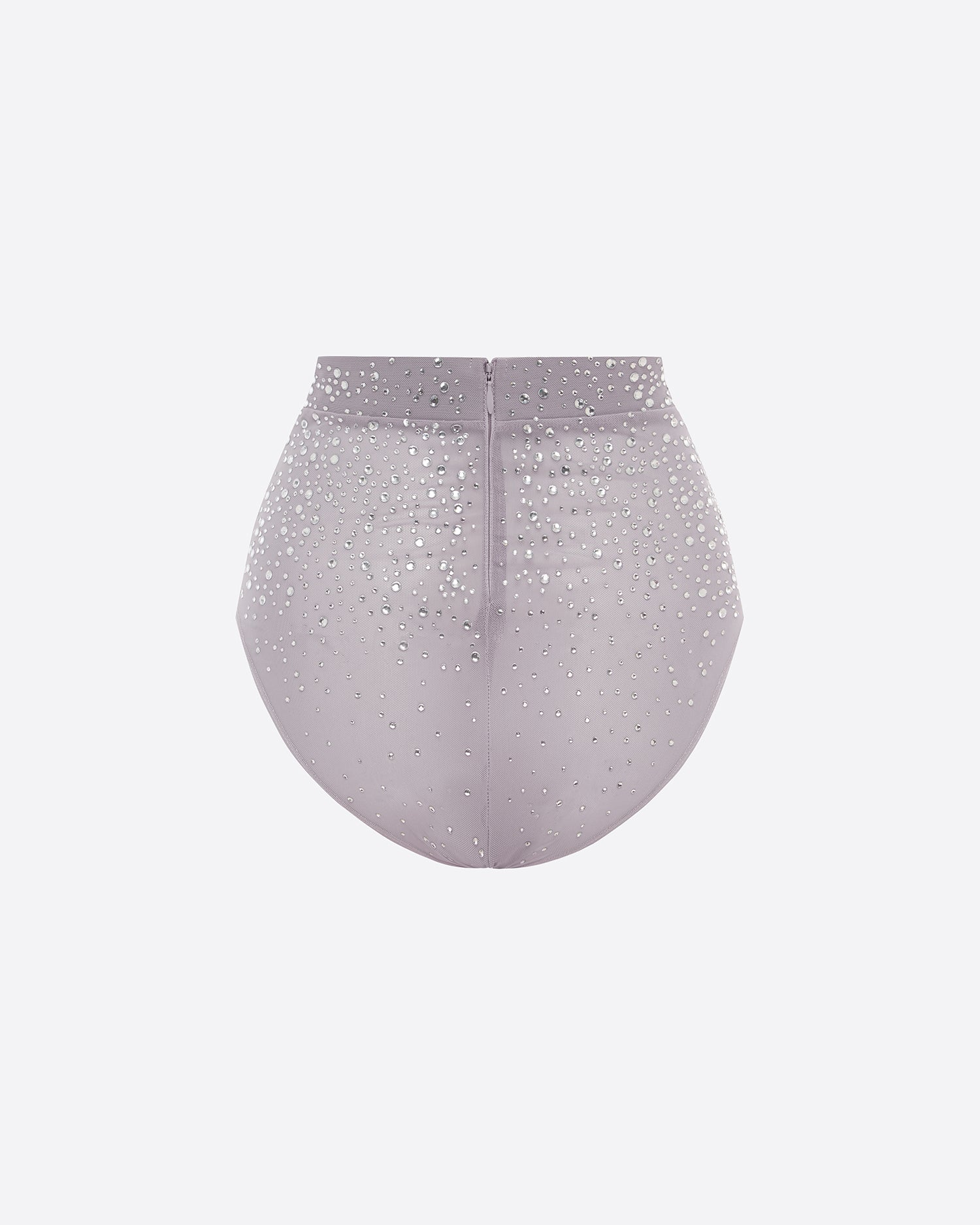 Brief in Crystal Stretch Mesh